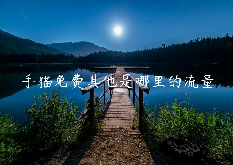 手貓免費(fèi)其他是哪里的流量